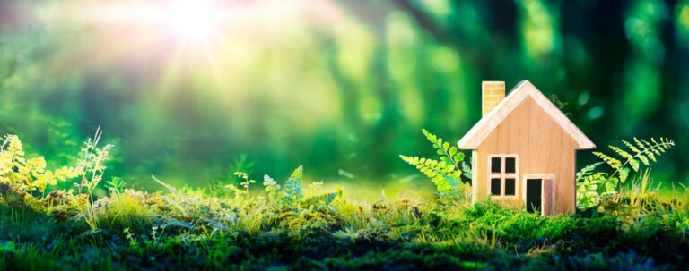 Sustainable Living: Practical Tips for Every Household